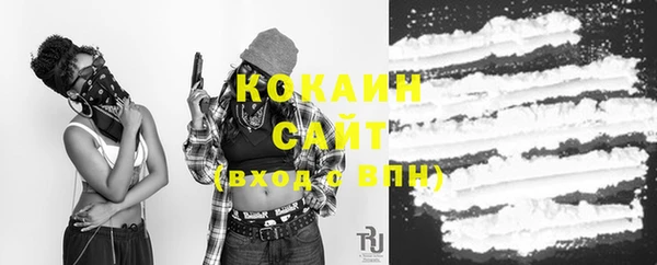 шишки Переславль-Залесский