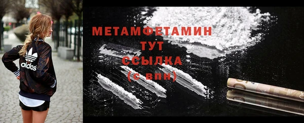 шишки Переславль-Залесский