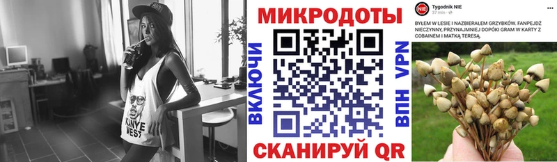 Псилоцибиновые грибы мухоморы купить наркоту Петушки