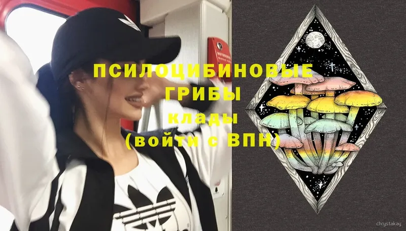 OMG ссылка  Петушки  Галлюциногенные грибы ЛСД 